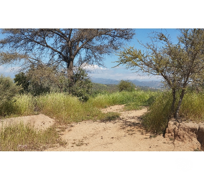 Terrenos Limache Quillota - Fotos de PARCELA EN CAJON DEL LEBU LIMACHE