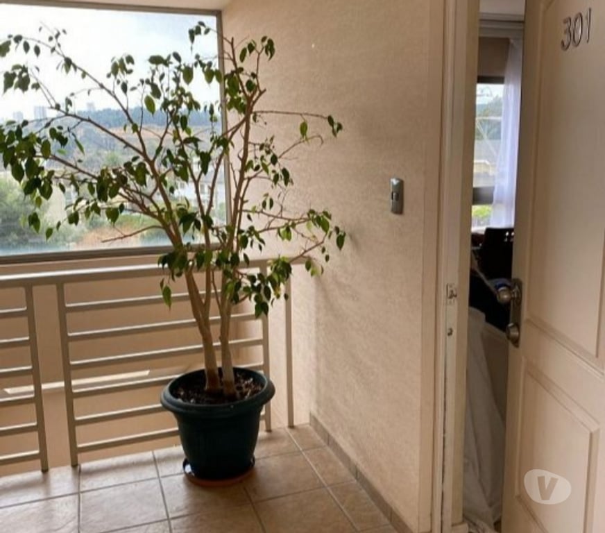 Arriendos Valparaíso Viña del Mar - Fotos de Depto Jardin del mar 470.000