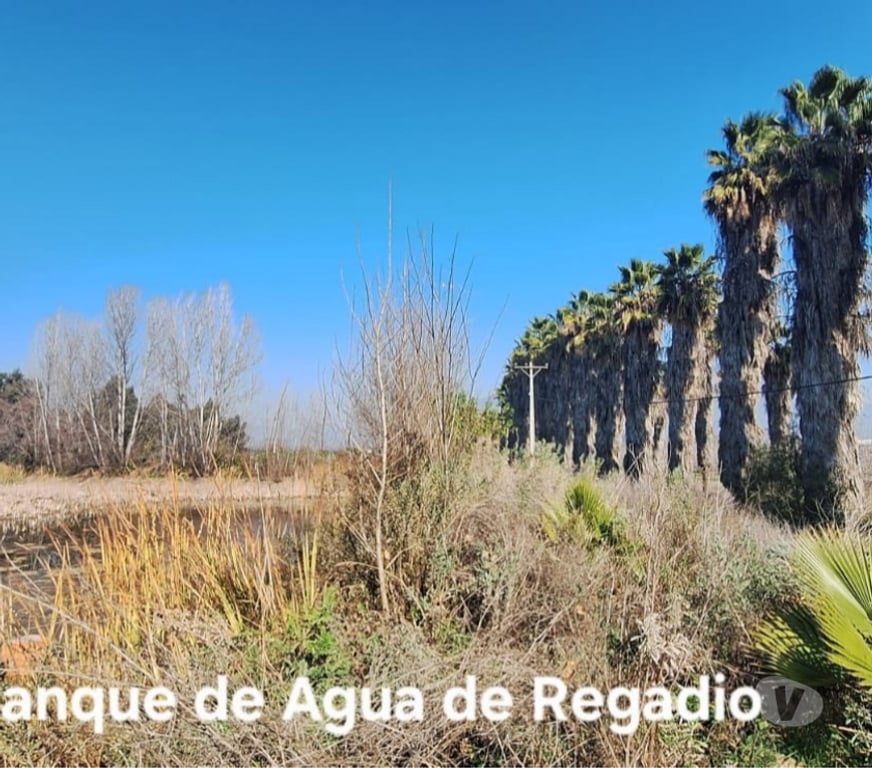 Parcelas en Venta Cordillera Pirque - Fotos de PARCELA URBANIZADA PIRQUE - Condominio Fundo Santa Victoria