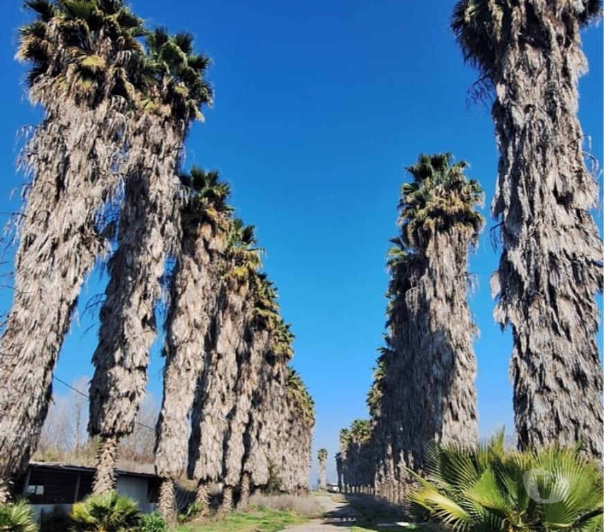 Parcelas en Venta Cordillera Pirque - Fotos de PARCELA URBANIZADA PIRQUE - Condominio Fundo Santa Victoria