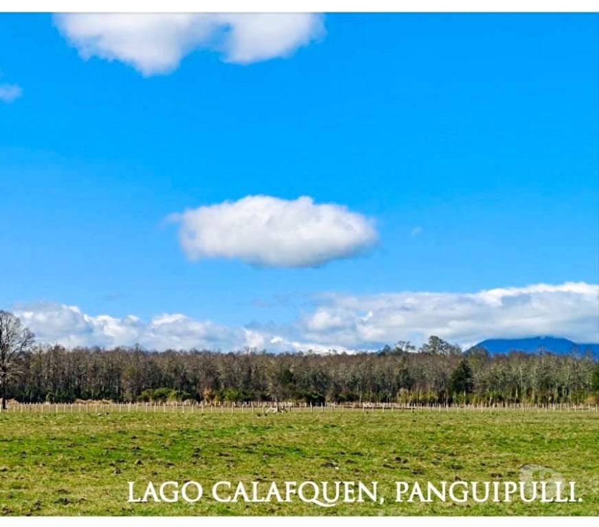 Parcelas en Venta Llanquihue Frutillar - Fotos de Venta de Terrenos Planos en Lago Calafquen, Panguipulli