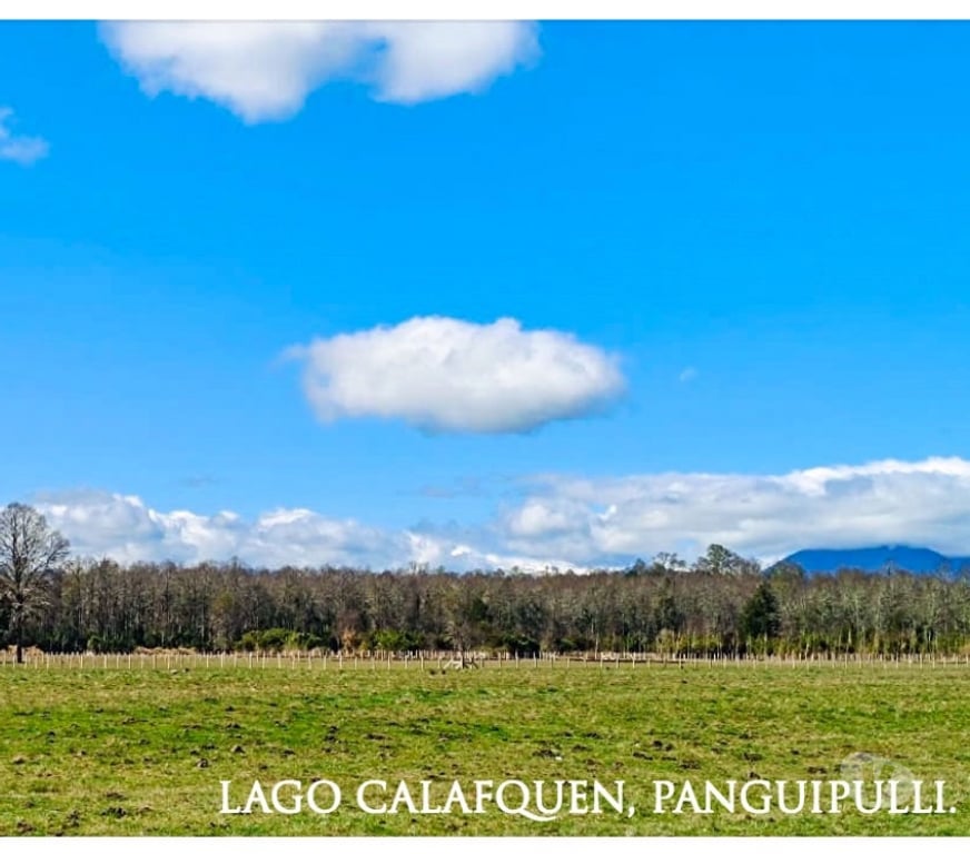 Parcelas en Venta Osorno Puerto Octay - Fotos de Venta de Terrenos en Panguipulli a 4 km de Lago Calafquen