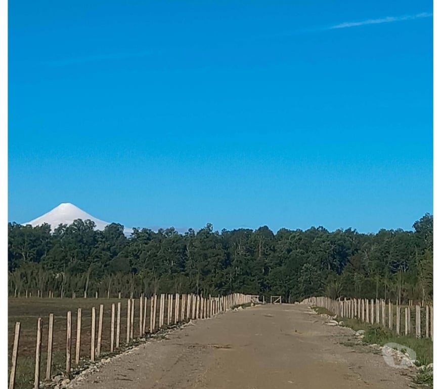Parcelas en Venta Osorno Puerto Octay - Fotos de Venta de Terrenos en Panguipulli a 4 km de Lago Calafquen