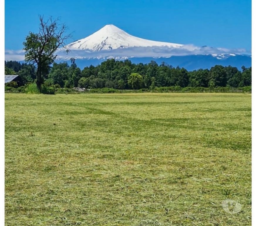 Parcelas en Venta Osorno Puerto Octay - Fotos de Venta de Terrenos en Panguipulli a 4 km de Lago Calafquen