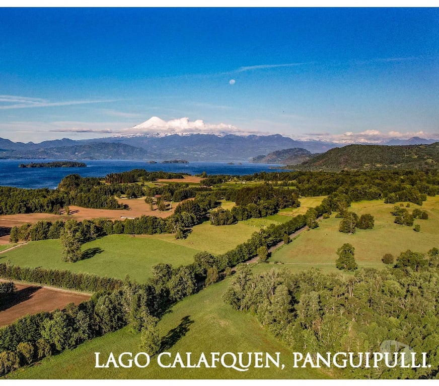 Parcelas en Venta Osorno Puerto Octay - Fotos de Venta de Terrenos en Panguipulli a 4 km de Lago Calafquen