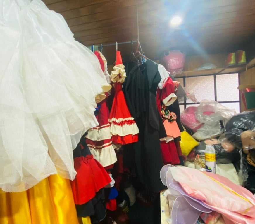 Ropa - Accesorios Santiago Maipú - Fotos de Venta de disfraces