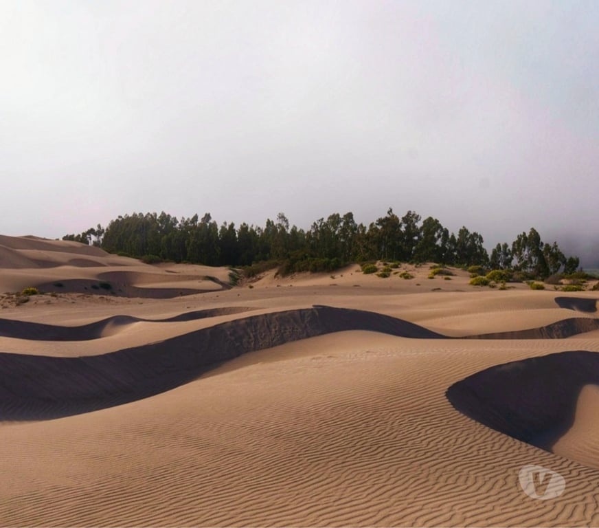 Parcelas en Venta Petorca Papudo - Fotos de Venta terreno en Papudo