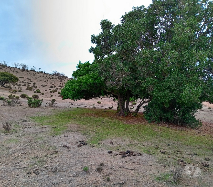 Parcelas en Venta Petorca Papudo - Fotos de Venta terreno en Papudo