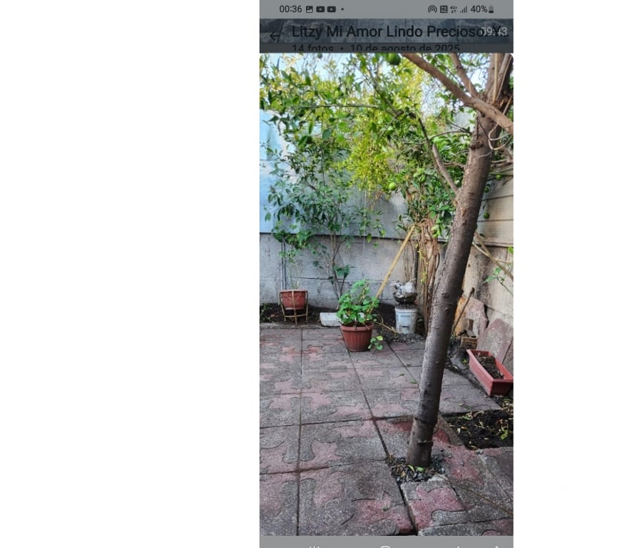 Bienes Raices Cordillera Puente Alto - Fotos de Venta de casa familiar en Puente Alto