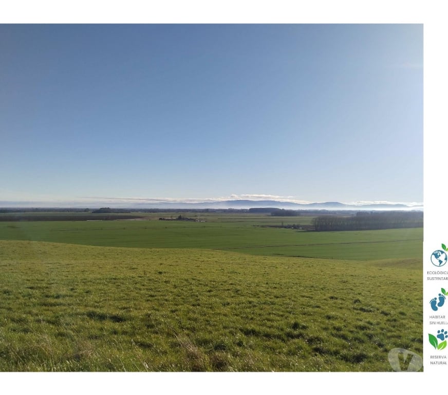 Venta de Haciendas Valdivia Paillaco - Fotos de Campo de 1.400 hás en Paillaco-Uso Amplio y Productivo