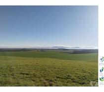 Fotos de Campo de 1.400 hás en Paillaco-Uso Amplio y Productivo