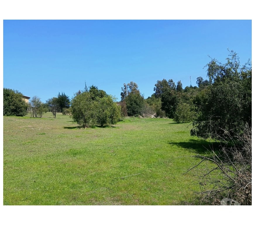 Bienes Raices Valparaíso Puchuncaví - Fotos de VENDE CABAÑA EN PARCELA DE AGRADO VALLE ALEGRE, PUCHUNCAVI