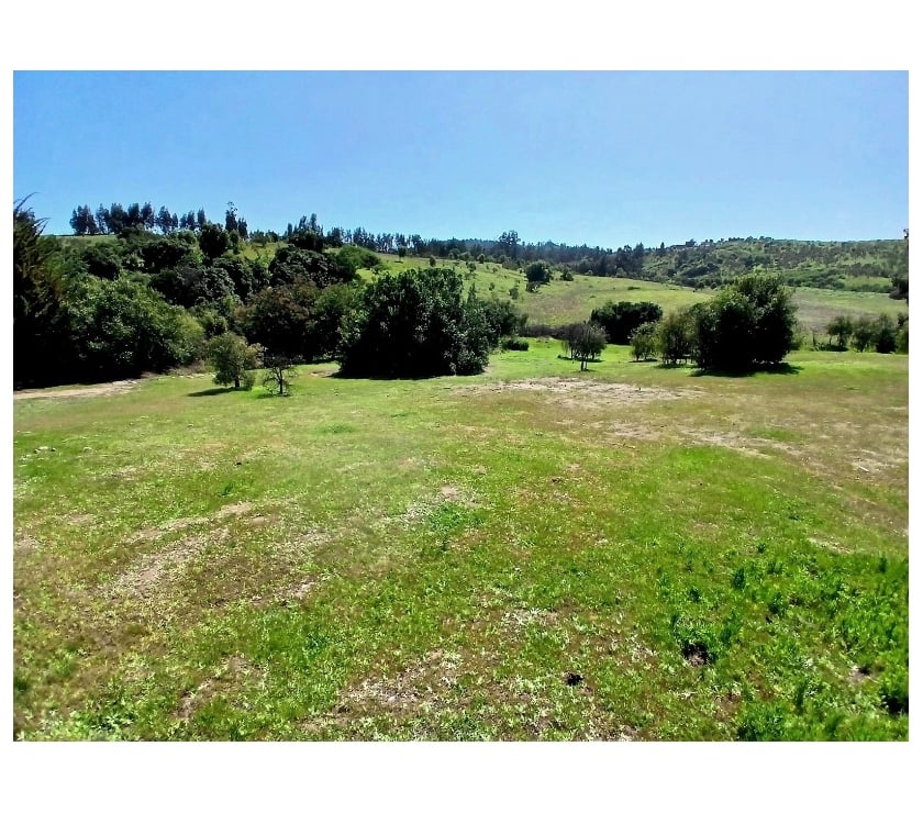 Parcelas en Venta Valparaíso Puchuncaví - Fotos de VENDE PARCELA VALLE ALEGRE, QUINTERO. 5.000 M2. ROL PROPIO
