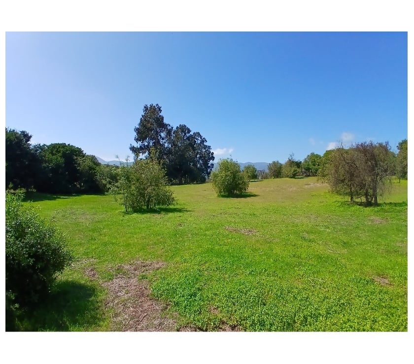 Fotos de VENDE PARCELA VALLE ALEGRE, QUINTERO. 5.000 M2. ROL PROPIO