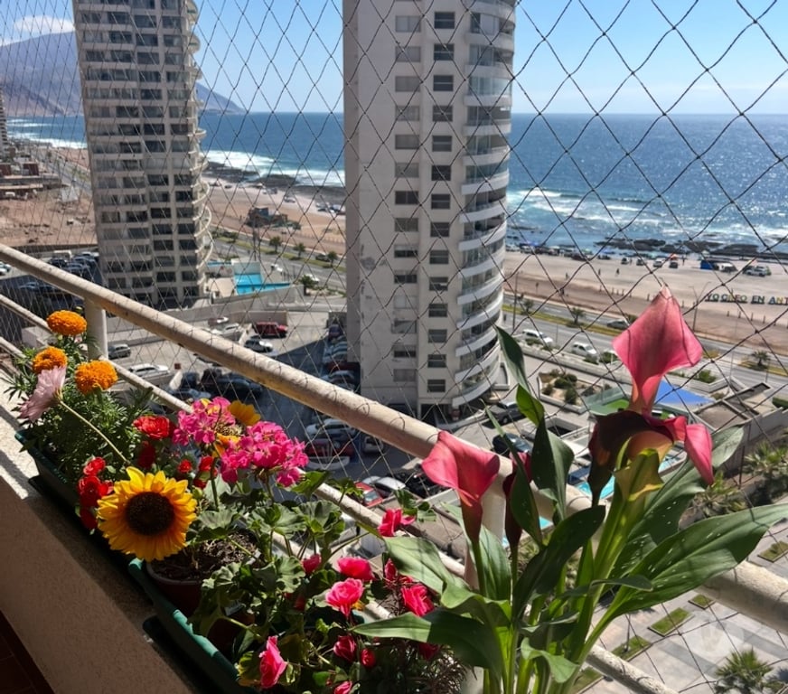Arriendo de piezas Antofagasta Antofagasta - Fotos de Arriendo Pieza Amoblada