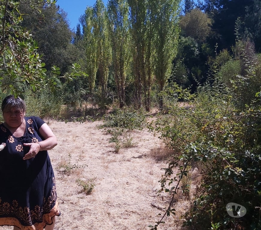 Venta de Haciendas Concepción Hualqui - Fotos de Linda parcela con gran casa y río 3 ha