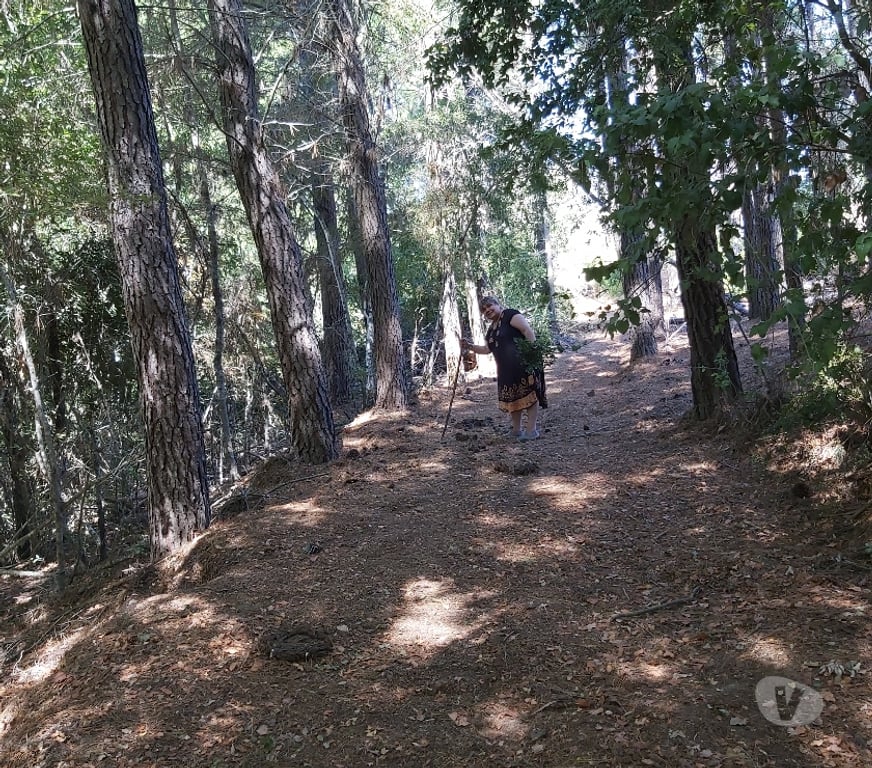 Venta de Haciendas Concepción Hualqui - Fotos de Linda parcela con gran casa y río 3 ha