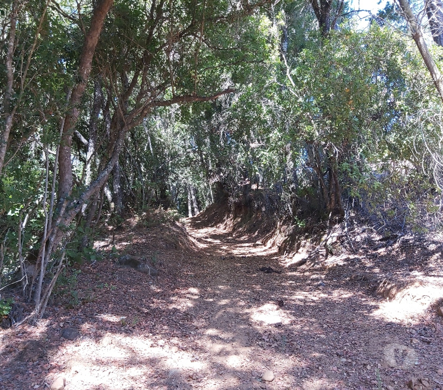 Venta de Haciendas Concepción Hualqui - Fotos de Linda parcela con gran casa y río 3 ha