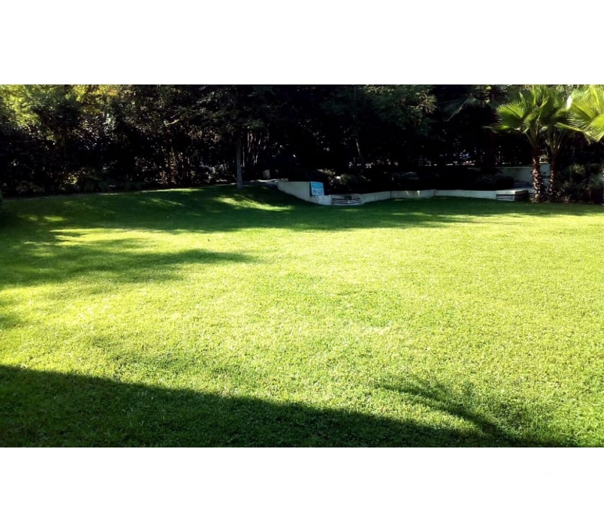 Arriendos Santiago Providencia - Fotos de Se ARRIENDA acogedor departamento en Providencia