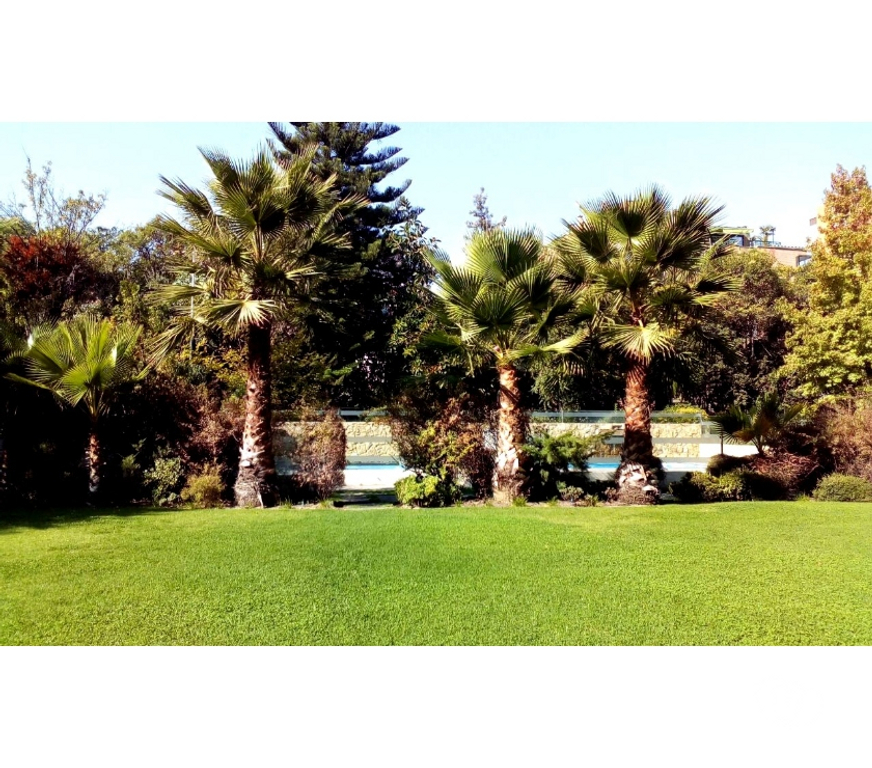 Arriendos Santiago Providencia - Fotos de Se ARRIENDA acogedor departamento en Providencia