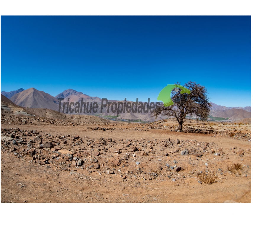 Parcelas en Venta Elqui Vicuña - Fotos de Parcela en Mamalluca (Vicuña), 11.000 m2, Valle del Elqui