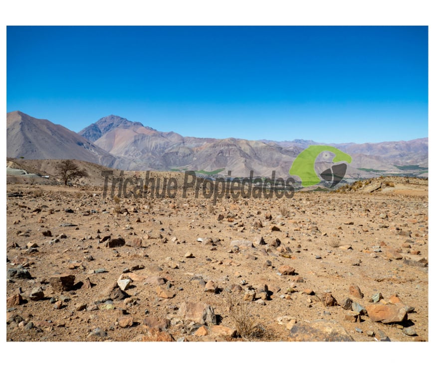 Parcelas en Venta Elqui Vicuña - Fotos de Parcela en Mamalluca (Vicuña), 11.000 m2, Valle del Elqui