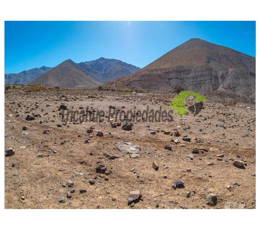 Parcelas en Venta Elqui Vicuña - Fotos de Parcela en Mamalluca (Vicuña), 11.000 m2, Valle del Elqui