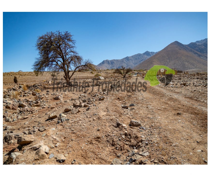 Parcelas en Venta Elqui Vicuña - Fotos de Parcela en Mamalluca (Vicuña), 11.000 m2, Valle del Elqui