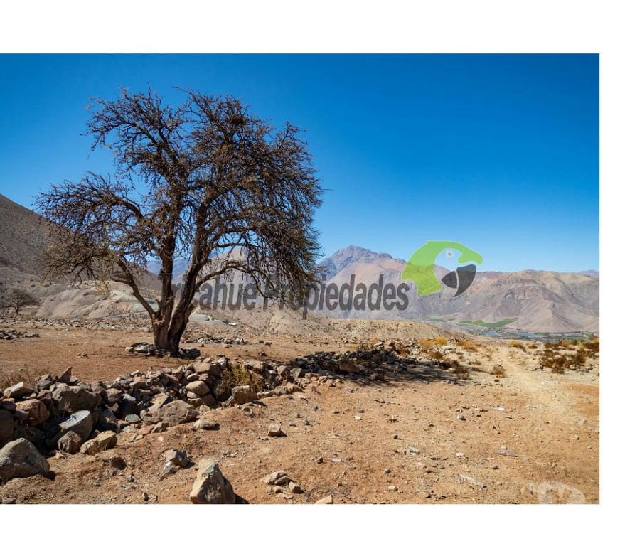 Parcelas en Venta Elqui Vicuña - Fotos de Parcela en Mamalluca (Vicuña), 11.000 m2, Valle del Elqui