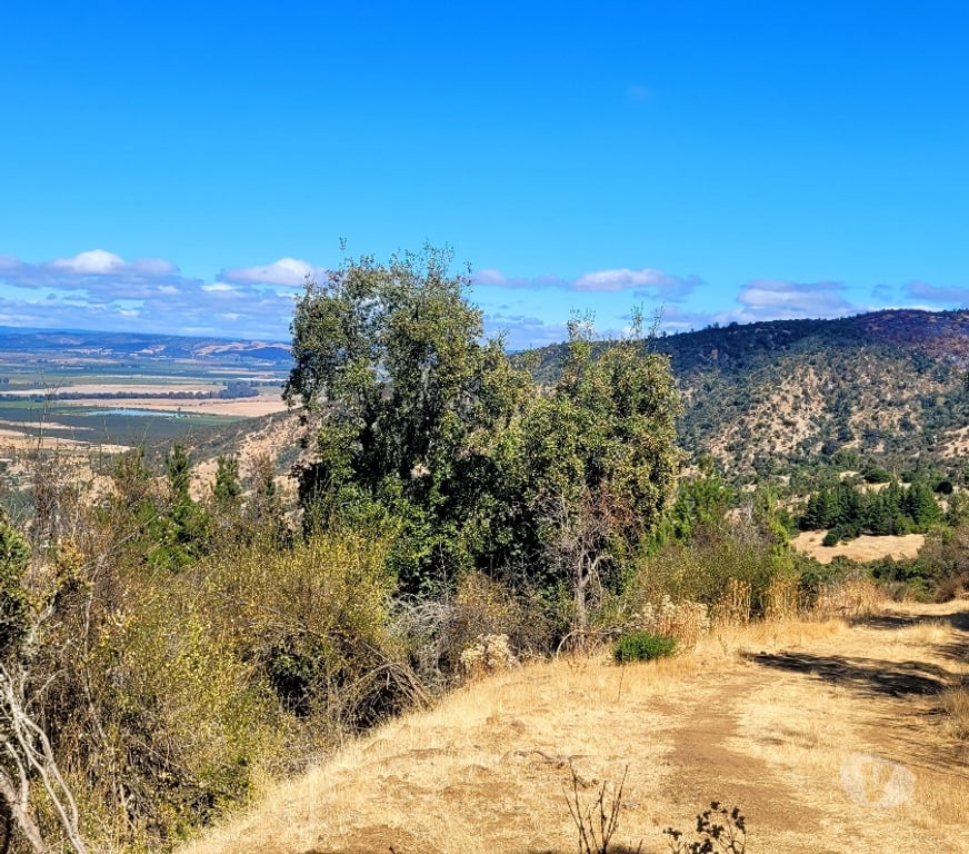 Venta de Haciendas Colchagua Lolol - Fotos de Oferta: parcelas 5.000 m² en cerro Lolol, rut