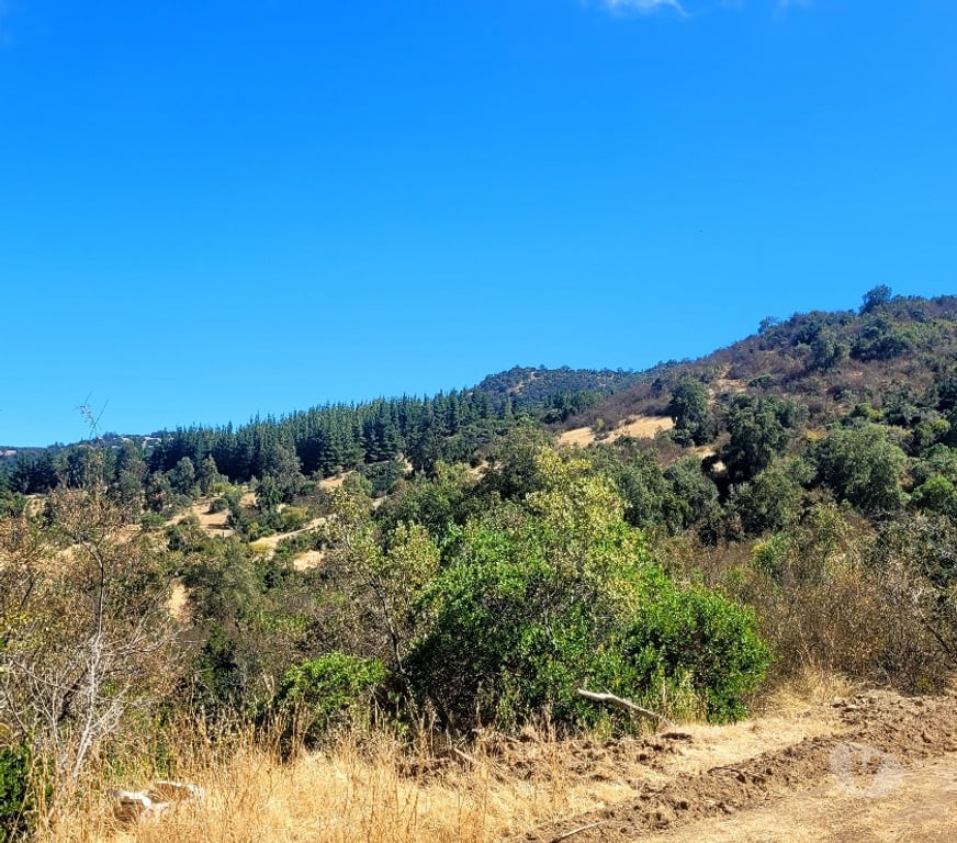 Venta de Haciendas Colchagua Lolol - Fotos de Oferta: parcelas 5.000 m² en cerro Lolol, rut