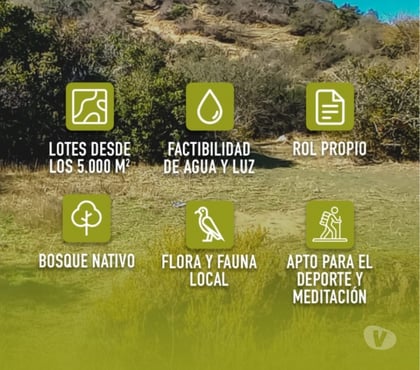 Fundos en Venta Lolol Colchagua - Fotos de Oferta: parcelas 5.000 m² en cerro Lolol, rut