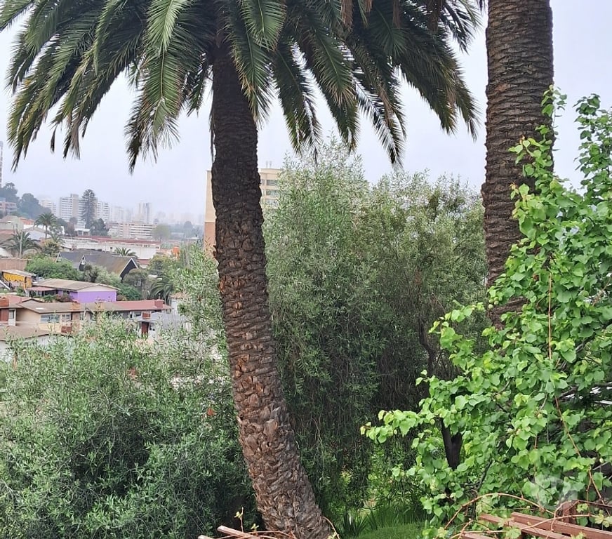 Arriendos Valparaíso Viña del Mar - Fotos de Arriendo casa en Chorrillos Viña del Mar
