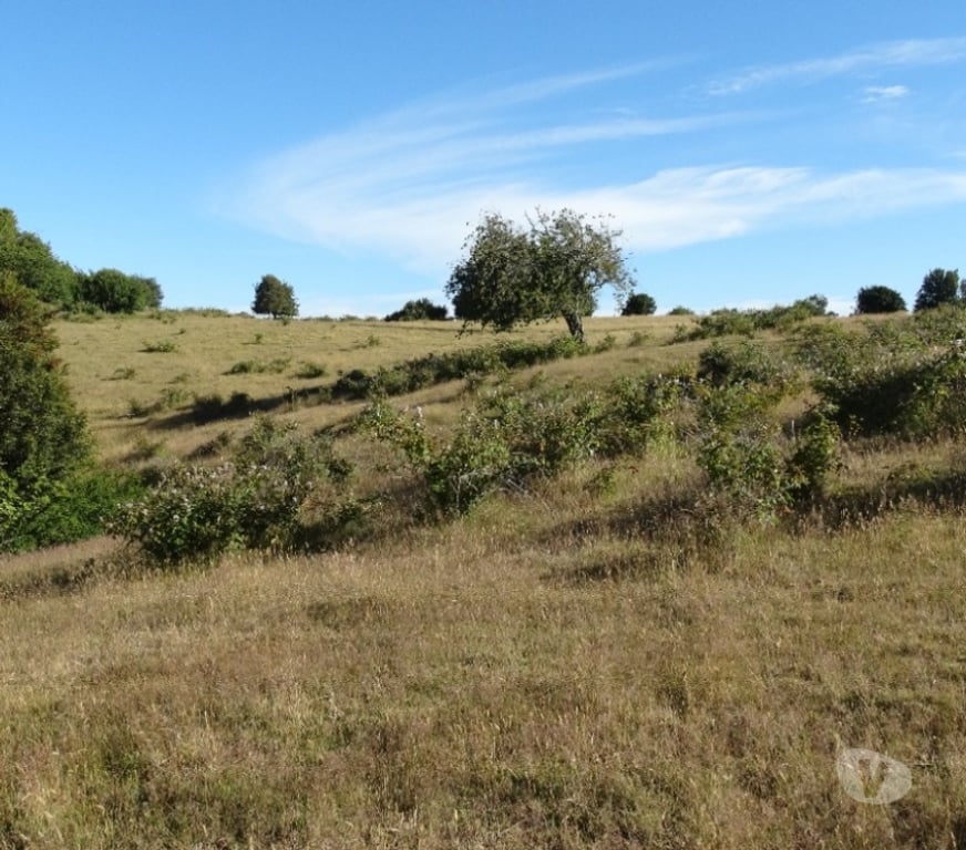 Parcelas en Venta Llanquihue Fresia - Fotos de VENTA DE 17,40 HECTÁREAS EN FRESIA.
