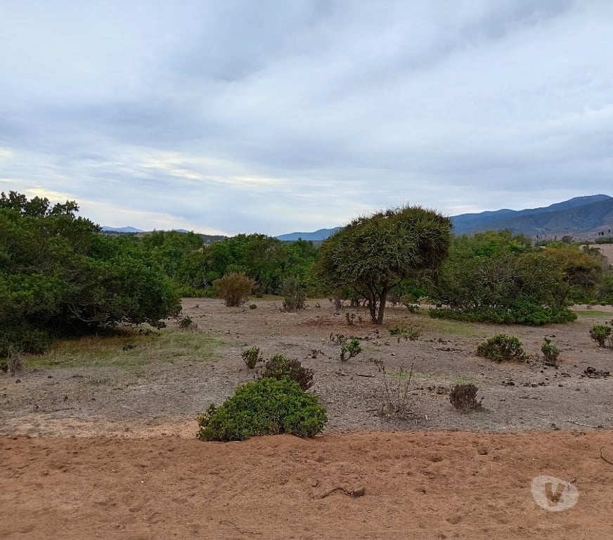 Parcelas en Venta Petorca Papudo - Fotos de Terreno en papudo sector romeral