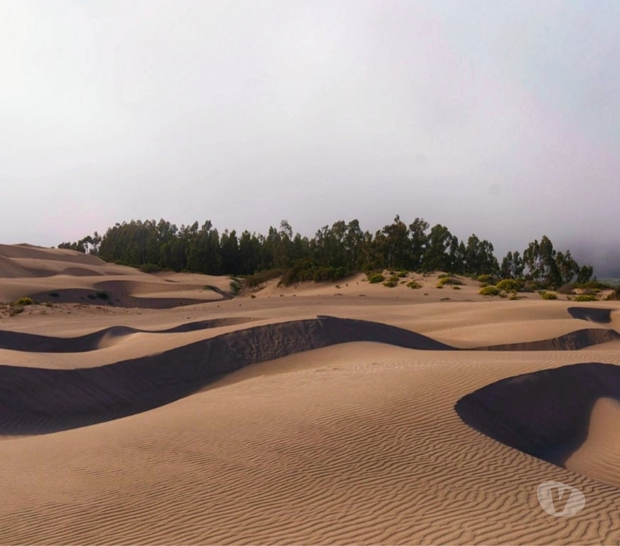 Parcelas en Venta Petorca Papudo - Fotos de Terreno en papudo sector romeral
