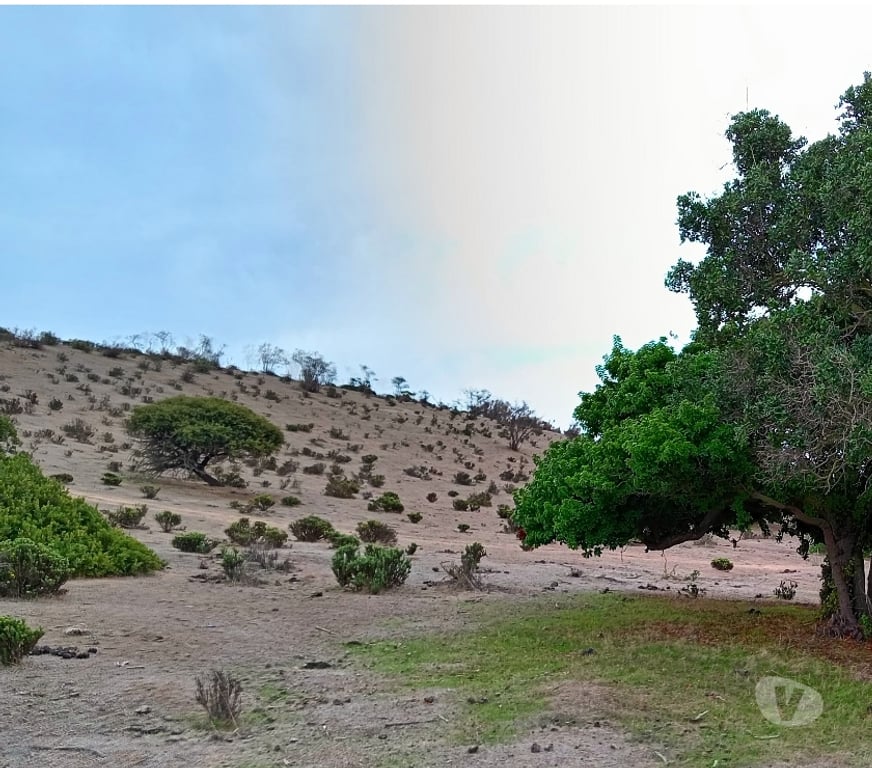 Parcelas en Venta Petorca Papudo - Fotos de Terreno en papudo sector romeral