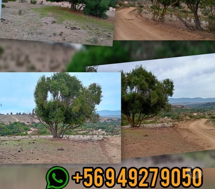 Parcelas Papudo Petorca - Fotos de Terreno en papudo sector romeral
