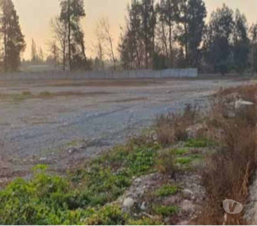 Parcelas en Venta Maipo Paine - Fotos de Terreno de 25.000 m2 en Champa-Paine.