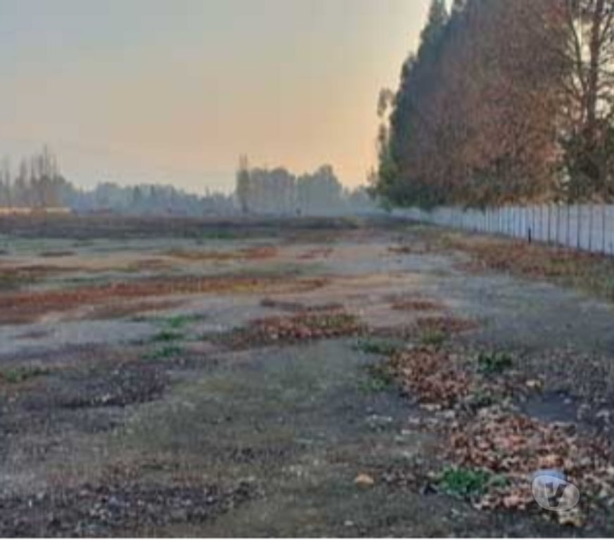 Parcelas en Venta Maipo Paine - Fotos de Terreno de 25.000 m2 en Champa-Paine.