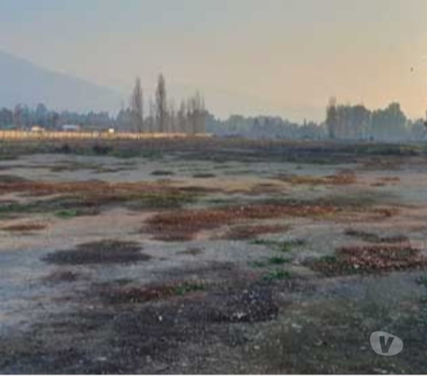 Parcelas en Venta Maipo Paine - Fotos de Terreno de 25.000 m2 en Champa-Paine.