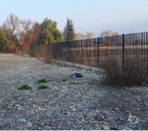 Fotos de Terreno de 25.000 m2 en Champa-Paine.