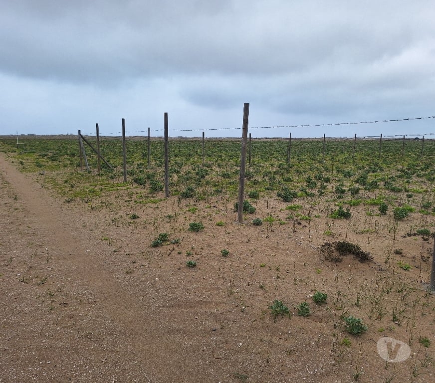 Venta de Haciendas Elqui La Higuera - Fotos de Los choros Los Llanos