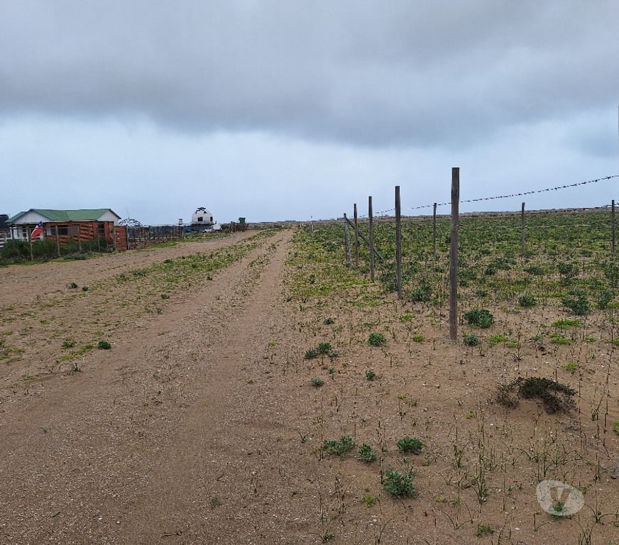 Venta de Haciendas Elqui La Higuera - Fotos de Los choros Los Llanos