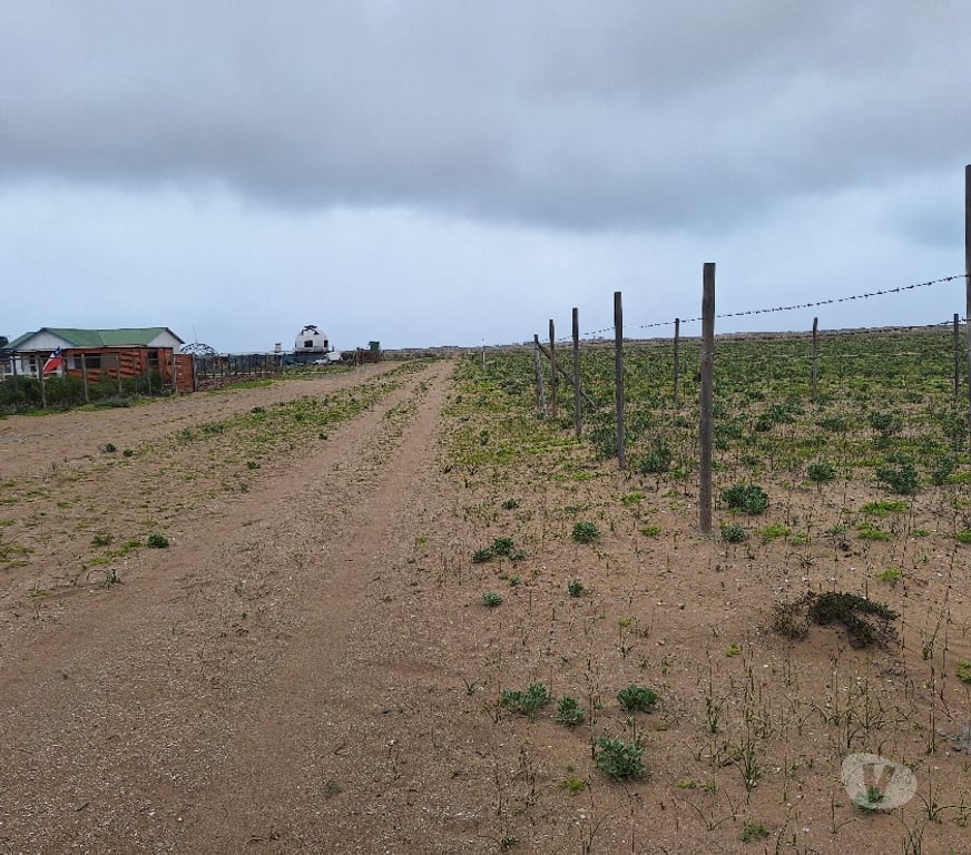 Venta de Haciendas Elqui La Higuera - Fotos de Los choros Los Llanos