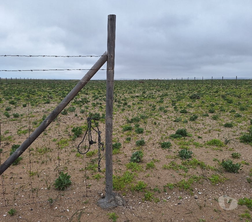 Venta de Haciendas Elqui La Higuera - Fotos de Los choros Los Llanos