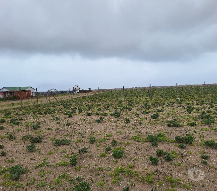 Venta de Haciendas Elqui La Higuera - Fotos de Los choros Los Llanos