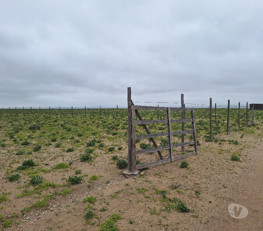 Venta de Haciendas Elqui La Higuera - Fotos de Los choros Los Llanos