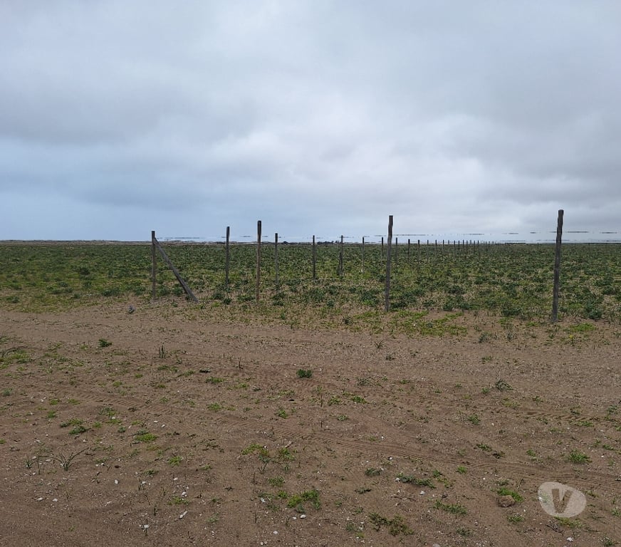 Venta de Haciendas Elqui La Higuera - Fotos de Los choros Los Llanos