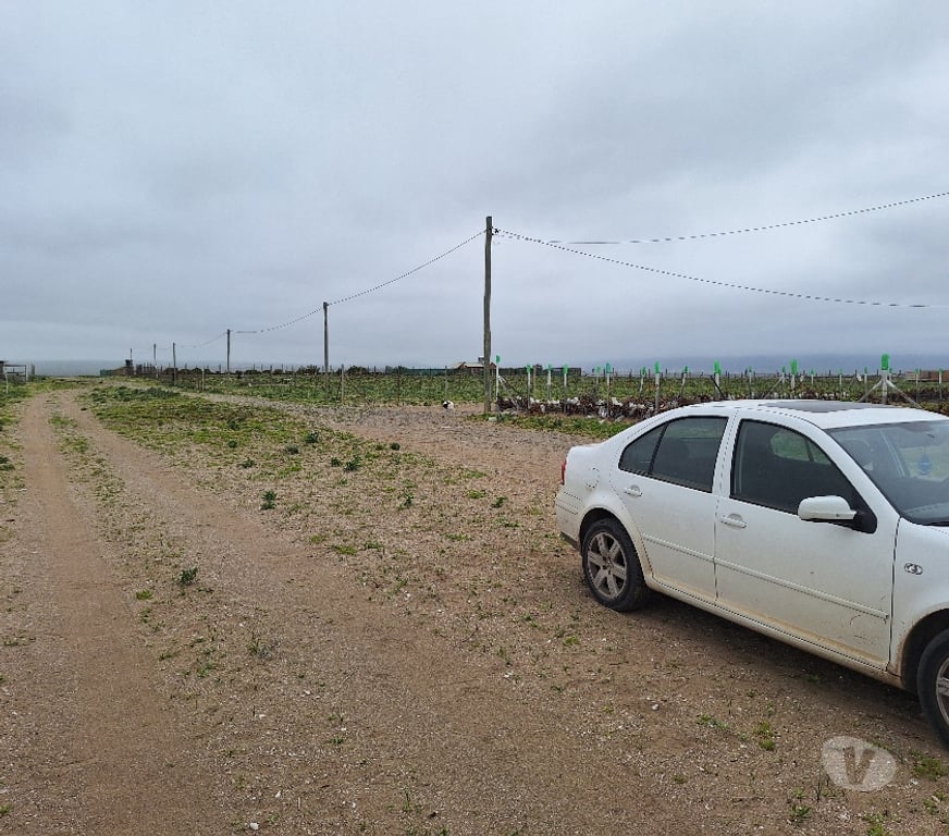 Venta de Haciendas Elqui La Higuera - Fotos de Los choros Los Llanos